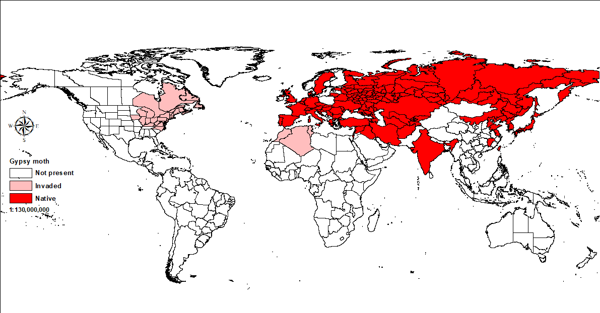 Gypsy Moth World Map