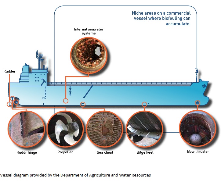 Commercial vessels Biosecurity NZ NZ Government